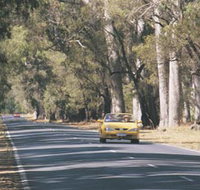Ludlow Tuart Forest - St Kilda Accommodation