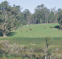 Scenic Drives - Bunbury Collie Donnybrook - St Kilda Accommodation