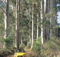 Mount Shadforth Scenic Drive - St Kilda Accommodation