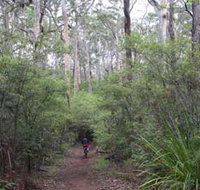 Margaret River Rails Trail - St Kilda Accommodation