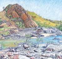 Red Dirt Arts - St Kilda Accommodation