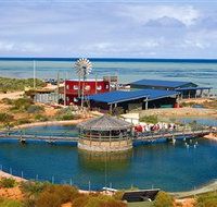 Ocean Park Aquarium - St Kilda Accommodation