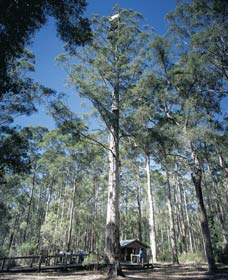 Manjimup WA St Kilda Accommodation