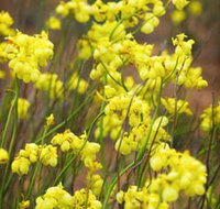 Mount Madden Scenic Drive - St Kilda Accommodation