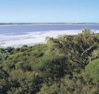 Pink Lake - St Kilda Accommodation