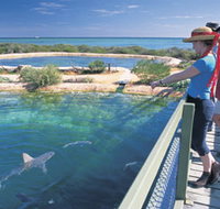 Shark Bay Marine Park - St Kilda Accommodation