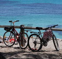Parker Point Marine Snorkel Trail - St Kilda Accommodation