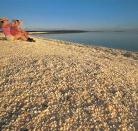 Shell Beach - St Kilda Accommodation