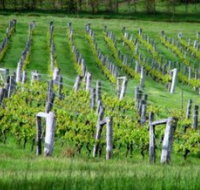 Sienna Estate Winery - St Kilda Accommodation