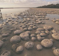 Yalgorup National Park - St Kilda Accommodation