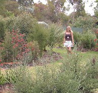 The Mythic Mazes - St Kilda Accommodation