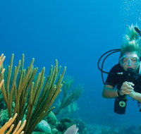Coastal Water Dive - St Kilda Accommodation