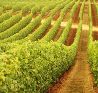 MadFish Wines Denmark - St Kilda Accommodation