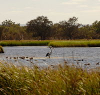 Anytime Adventures in Mandurah  the Peel Region - St Kilda Accommodation