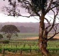 Yangarra Estate Vineyard - St Kilda Accommodation