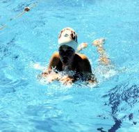 Mount Gambier Aquatic Centre - St Kilda Accommodation