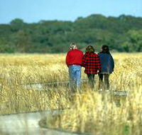 Onkaparinga River Recreation Park - St Kilda Accommodation