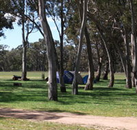 Black Cockatoo Bush Camp - St Kilda Accommodation