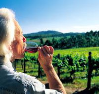 Ashton Hills Vineyard - St Kilda Accommodation