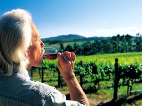 Ashton Hills Vineyard - St Kilda Accommodation 0