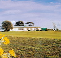 Lucindale Country Club - St Kilda Accommodation