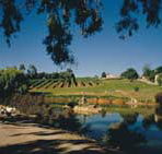 Mount Hurtle Winery home of Geoff Merrill Wines - St Kilda Accommodation