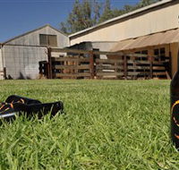 Wilkadene Woolshed Brewery - St Kilda Accommodation