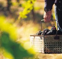 Burge Family Winemakers - St Kilda Accommodation