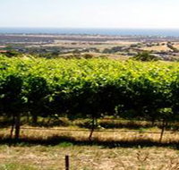 Braydun Hill Vineyard - St Kilda Accommodation
