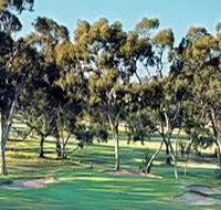 Tanunda Pines Golf Club - St Kilda Accommodation