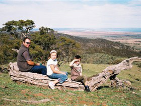 Bridle Track - St Kilda Accommodation 0