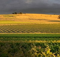 Kellermeister Wines - St Kilda Accommodation