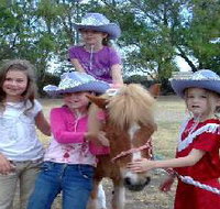 Amberainbow Pony Rides - St Kilda Accommodation