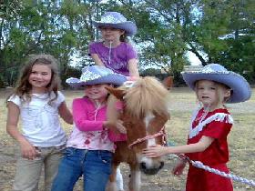 Amberainbow Pony Rides - St Kilda Accommodation 0