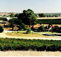 Irvine Wines - St Kilda Accommodation