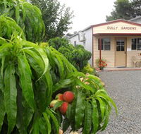 Gully Gardens - St Kilda Accommodation