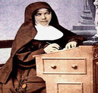 Mary MacKillop Penola Centre - St Kilda Accommodation