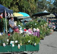 Meadows Monthly Market - St Kilda Accommodation