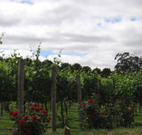 Manyara Vineyard - St Kilda Accommodation