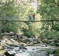Arve Forest Drive - St Kilda Accommodation