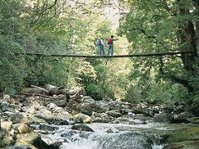 Arve Forest Drive - St Kilda Accommodation 0
