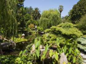 Adelaide Himeji Garden - St Kilda Accommodation 0