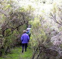 Jack And Hilda McArthur Walk - St Kilda Accommodation