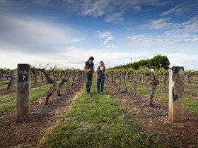 South East And Limestone Coast SA St Kilda Accommodation