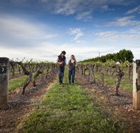 Coonawarra Wineries Walking Trail - St Kilda Accommodation