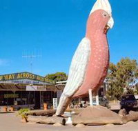 The Big Galah - St Kilda Accommodation