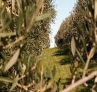 Evilo Estate - St Kilda Accommodation