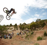 Eagle Mountain Bike Park - St Kilda Accommodation