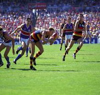AAMI Stadium Tours - St Kilda Accommodation