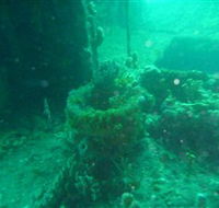 Wallaroo Scuba Club - St Kilda Accommodation
